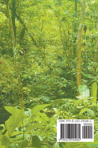 Produktbild: Le sentier des secrets