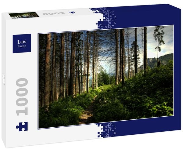 Produktbild: Lais Puzzle Wald 1000 Teile