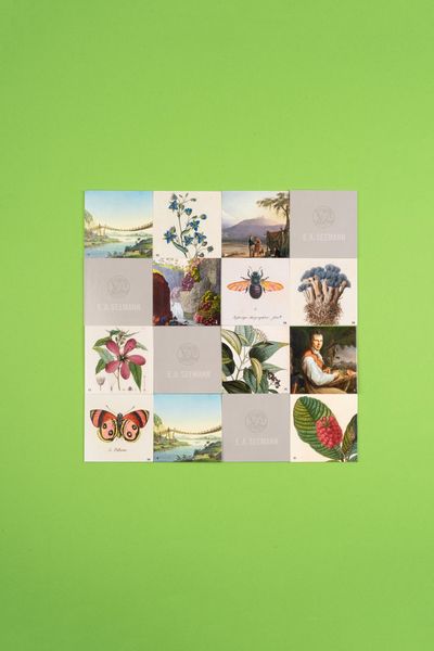 Produktbild: Alexander von Humboldt. Memo