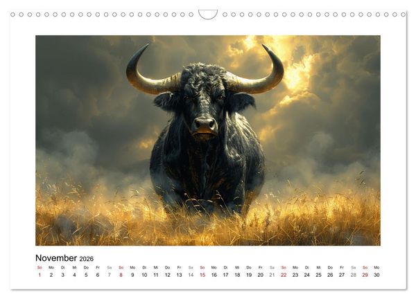 Produktbild: Wilde Rinder (Wandkalender 2026 DIN A3 quer), CALVENDO Monatskalender