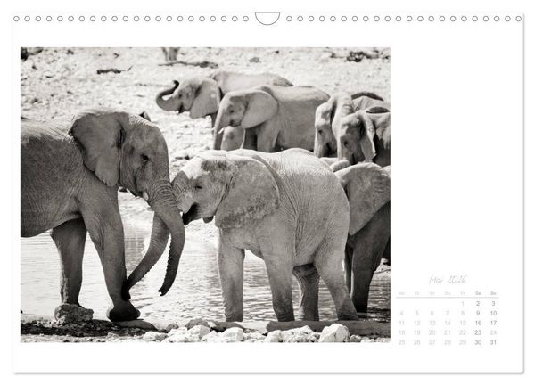 Produktbild: Elefanten in Etosha (Wandkalender 2026 DIN A3 quer), CALVENDO Monatskalender