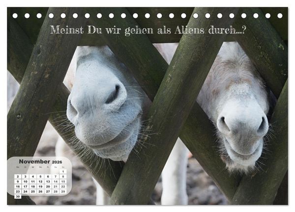 Produktbild: Tierisch und Heiter - Das Leben geht weiter 2026 (Tischkalender 2026 DIN A5 quer), CALVENDO Monatskalender