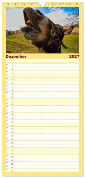 Produktbild: Familienplaner 2027 - Liebenswerte Esel mit 5 Spalten (Wandkalender, 21 x 45 cm) CALVENDO