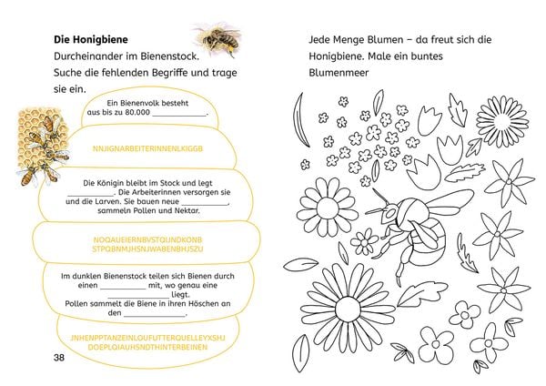 Produktbild: Lesen lernen mit Naturr&auml;tseln, B&uuml;cherhelden 2. Klasse, Insekten & Spinnen