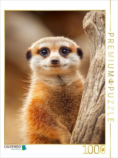 Produktbild: CALVENDO Puzzle S&uuml;&szlig;es Erdm&auml;nnchen mit gro&szlig;en Augen im Portrait | 1000 Teile Lege-Gr&ouml;&szlig;e 64x48cm Foto-Puzzle f&uuml;r gl&uuml;ckliche Stunden