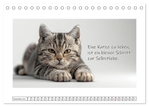 Produktbild: Katzenpower (Tischkalender 2026 DIN A5 quer), CALVENDO Monatskalender