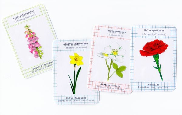 Produktbild: Blumenfamilien (Kartenspiel)