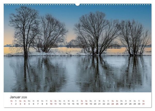 Produktbild: B&auml;ume - Gelebtes Leben (hochwertiger Premium Wandkalender 2026 DIN A2 quer), Kunstdruck in Hochglanz