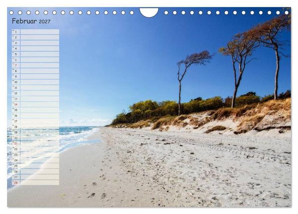 Produktbild: Lichtspiele auf der Halbinsel Dar&szlig; (Wandkalender 2027 DIN A4 quer), CALVENDO Monatskalender