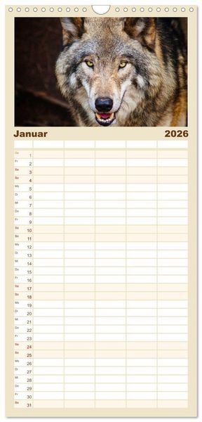 Produktbild: Familienplaner 2026 - Begegnung mit dem Wolf mit 5 Spalten (Wandkalender, 21 x 45 cm) CALVENDO