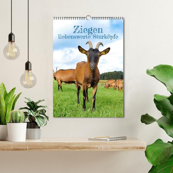 Produktbild: Ziegen - liebenswerte Sturk&ouml;pfe (Wandkalender 2026 DIN A3 hoch), CALVENDO Monatskalender