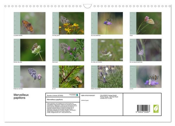 Produktbild: Merveilleux papillons (Calendrier mural 2026 DIN A3 vertical), CALVENDO calendrier mensuel