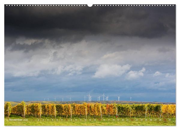 Produktbild: Wein - Landschaften (Wandkalender 2026 DIN A2 quer), CALVENDO Monatskalender