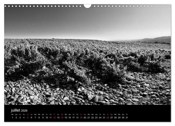 Produktbild: VIGNES DU SUD terroirs d'AOC (Calendrier mural 2026 DIN A3 vertical), CALVENDO calendrier mensuel