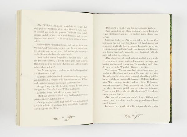 Produktbild: Ein M&auml;dchen namens Willow 2: Waldgefl&uuml;ster