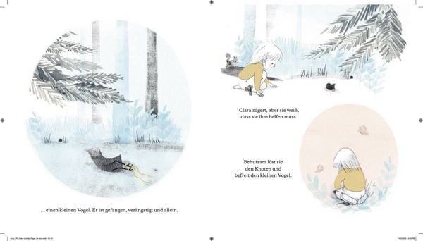 Produktbild: Clara und die V&ouml;gel