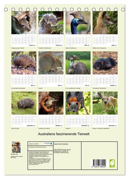 Produktbild: Australiens faszinierende Tierwelt (Tischkalender 2026 DIN A5 hoch), CALVENDO Monatskalender
