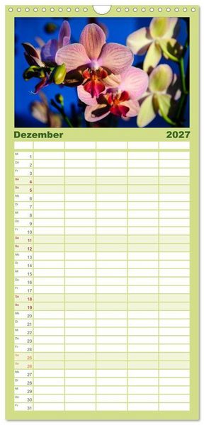 Produktbild: Familienplaner 2027 - Wunderbare Orchideen mit 5 Spalten (Wandkalender, 21 x 45 cm) CALVENDO
