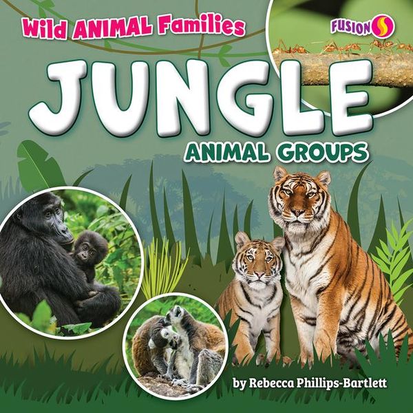Produktbild: Jungle Animal Groups