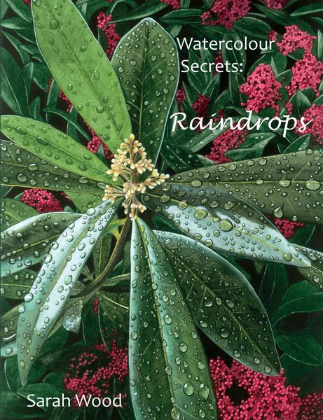 Produktbild: Watercolour Secrets: Raindrops