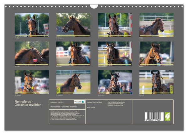 Produktbild: Rennpferde - Gesichter erz&auml;hlen (Wandkalender 2026 DIN A3 quer), CALVENDO Monatskalender
