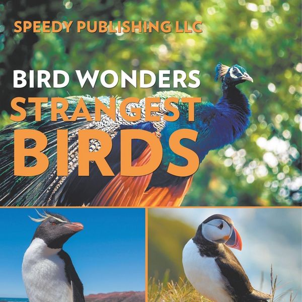 Produktbild: Bird Wonders - Strangest Birds