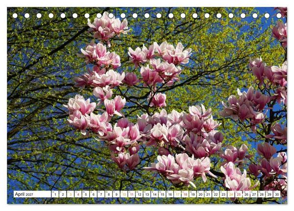 Produktbild: 12 Monate Natur (Tischkalender 2027 DIN A5 quer), CALVENDO Monatskalender