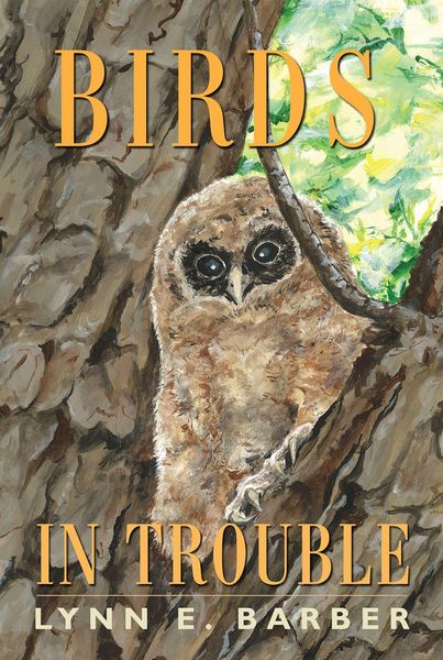 Produktbild: Birds in Trouble