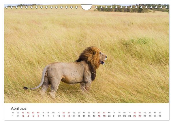 Produktbild: Kenia - Das wundervolle Land in Afrika. (Wandkalender 2026 DIN A4 quer), CALVENDO Monatskalender