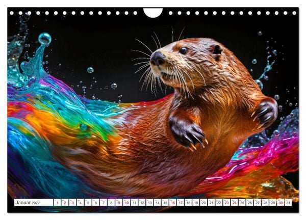 Produktbild: Farbsplash in der Tierwelt (Wandkalender 2027 DIN A4 quer), CALVENDO Monatskalender