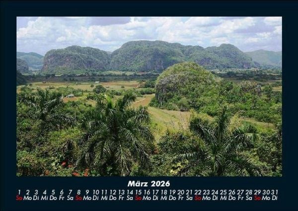 Produktbild: B&auml;ume 2026 Fotokalender DIN A5