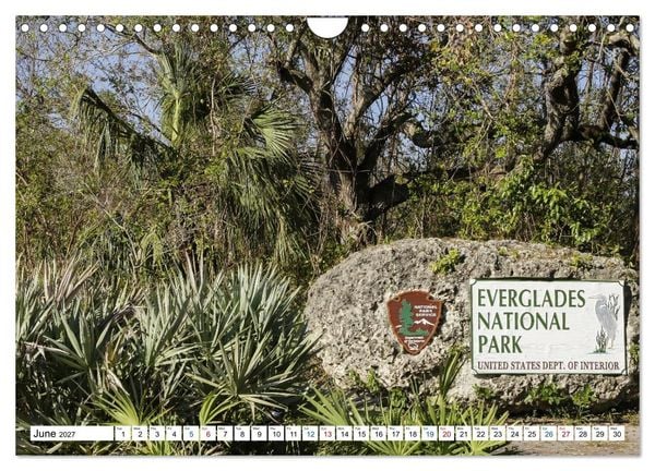 Produktbild: Sunshine State Florida Nature, Wildlife, National Parks (Wall Calendar 2027 DIN A4 landscape), CALVENDO 12 Month Wall Calendar