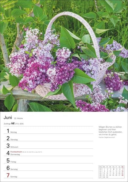 Produktbild: Blumenpracht Wochenplaner 2026 - 53 stimmungsvolle Fotografien