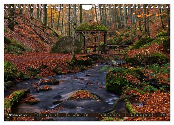Produktbild: Augenschmaus Pf&auml;lzer Wald (Wandkalender 2026 DIN A4 quer), CALVENDO Monatskalender