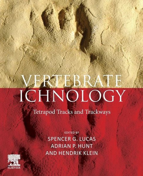 Produktbild: Vertebrate Ichnology