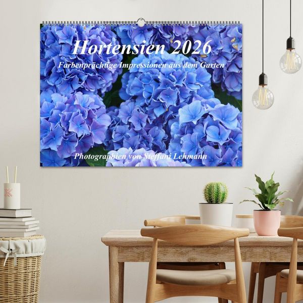 Produktbild: Hortensien 2026. Farbenpr&auml;chtige Impressionen aus dem Garten (Wandkalender 2026 DIN A2 quer), CALVENDO Monatskalender