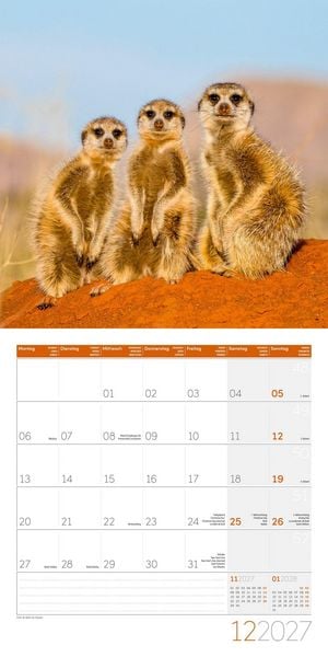 Produktbild: Erdm&auml;nnchen Kalender 2027 - 30x30 - Art12