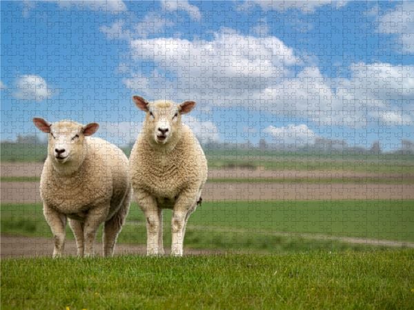 Produktbild: CALVENDO Puzzle Auf Erkundungstour | 1000 Teile Lege-Gr&ouml;&szlig;e 64x48cm Foto-Puzzle f&uuml;r gl&uuml;ckliche Stunden
