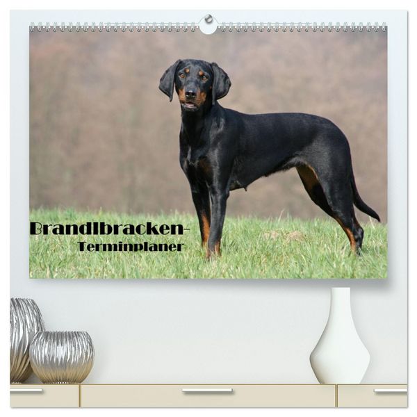 Produktbild: Der Brandlbracken-Terminplaner (hochwertiger Premium Wandkalender 2026 DIN A2 quer), Kunstdruck in Hochglanz