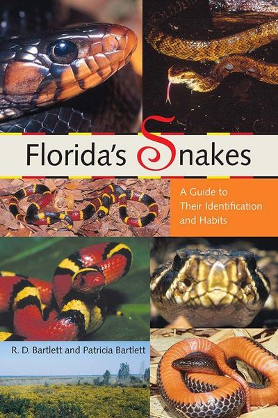 Produktbild: Florida's Snakes