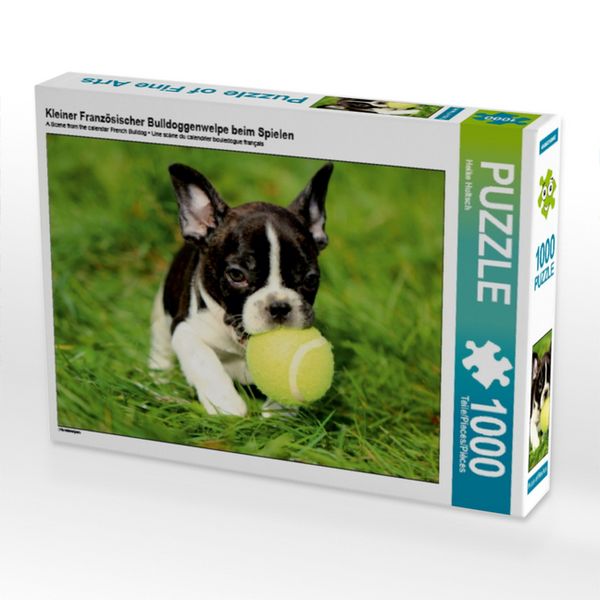 CALVENDO Puzzle Kleiner Französischer Bulldoggenwelpe beim Spielen | 1000 Teile Lege-Größe 64x48cm Foto-Puzzle für glückliche Stunden