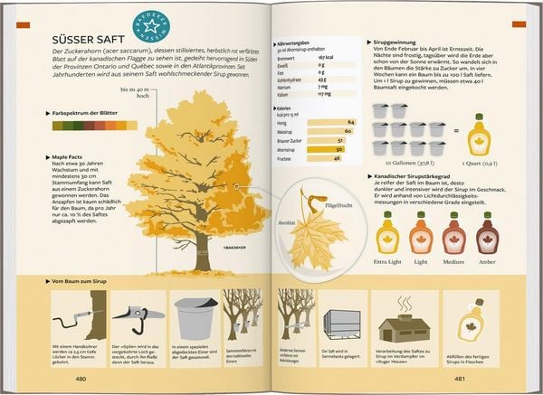 Produktbild: Baedeker Reisef&uuml;hrer Kanada Osten