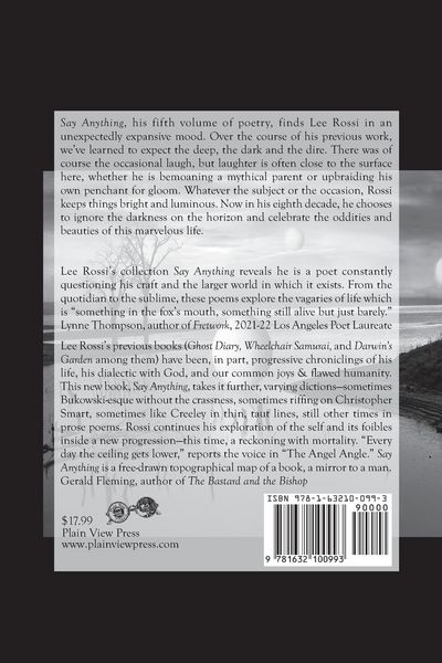 Produktbild: Say Anything