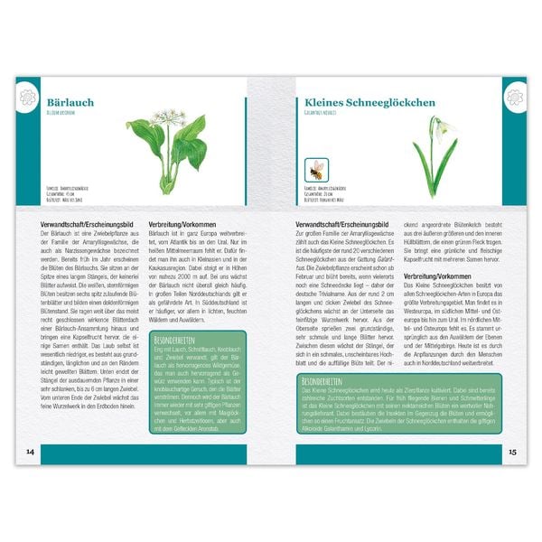Produktbild: Wildblumen und Kr&auml;uter entdecken und bestimmen