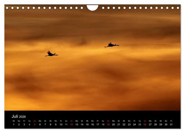 Produktbild: Kraniche (Wandkalender 2026 DIN A4 quer), CALVENDO Monatskalender