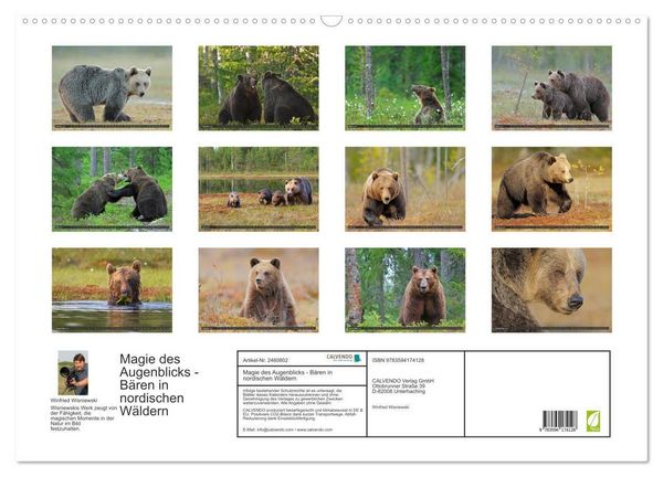 Produktbild: Magie des Augenblicks - B&auml;ren in nordischen W&auml;ldern (Wandkalender 2027 DIN A2 quer), CALVENDO Monatskalender