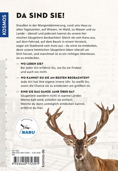Produktbild: Die siehst du - Die Tiere um dich herum