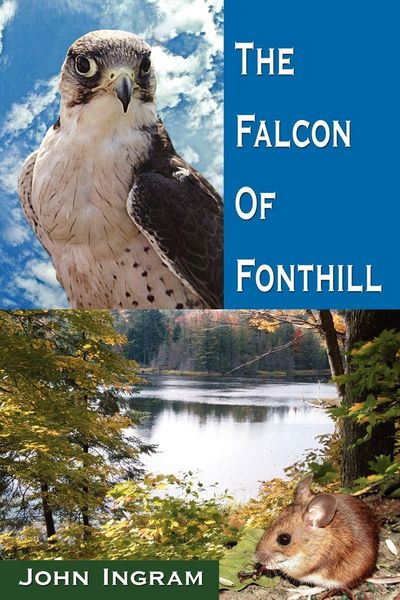 Produktbild: The Falcon of Fonthill