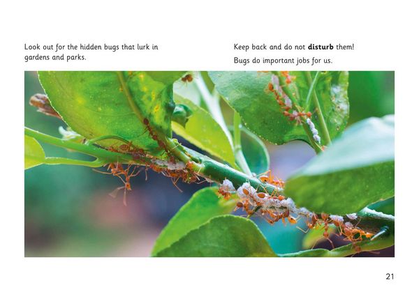 Produktbild: Hidden Bugs