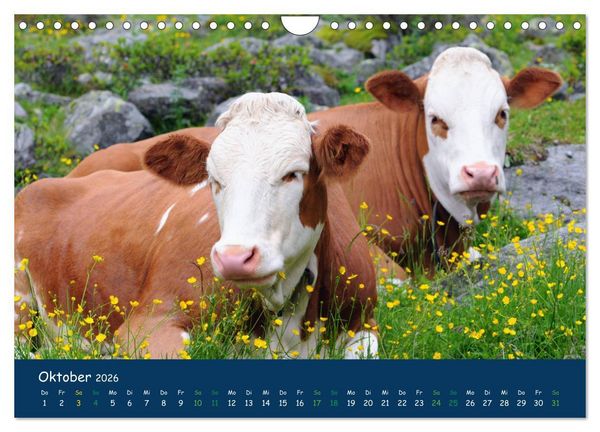Produktbild: Bergwelt Hohe Tauern - Wandergenuss in alpiner Landschaft (Wandkalender 2026 DIN A4 quer), CALVENDO Monatskalender